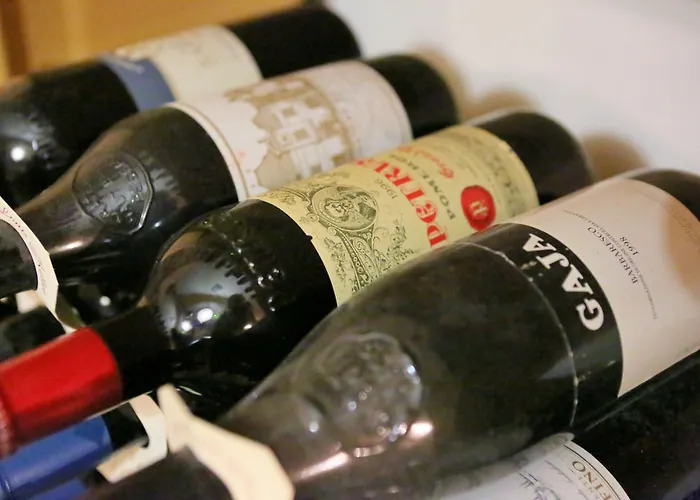 Mediterranee Family & 5*